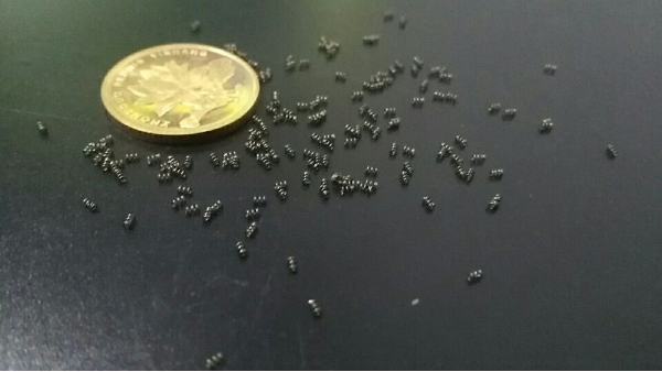 不銹鋼精密彈簧